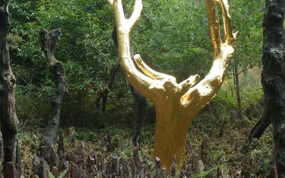 Une raison d&rsquo;être à toutes choses…